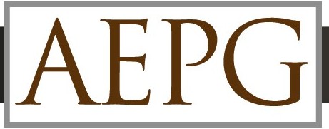 American Economic Planning Group Inc